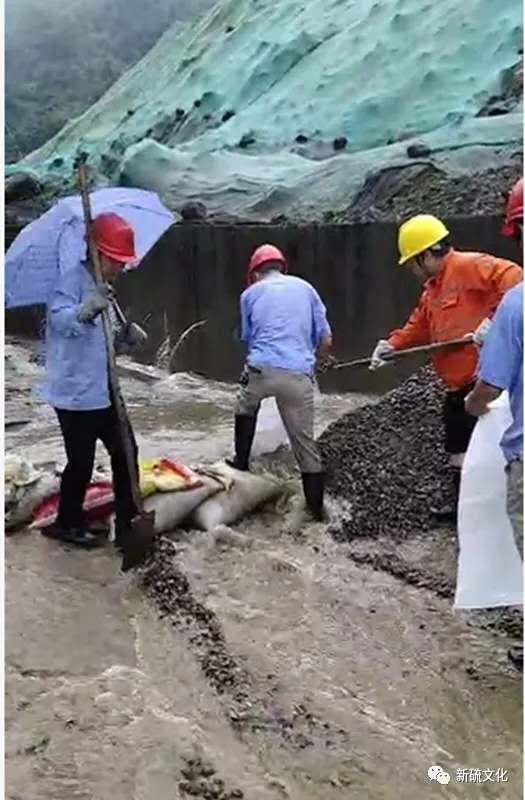 首页-suncitygroup太阳集团官方网站